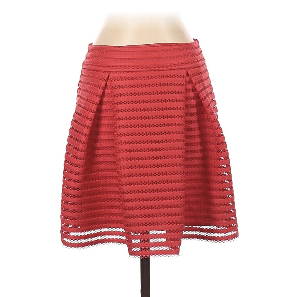Express Skirt Size 4